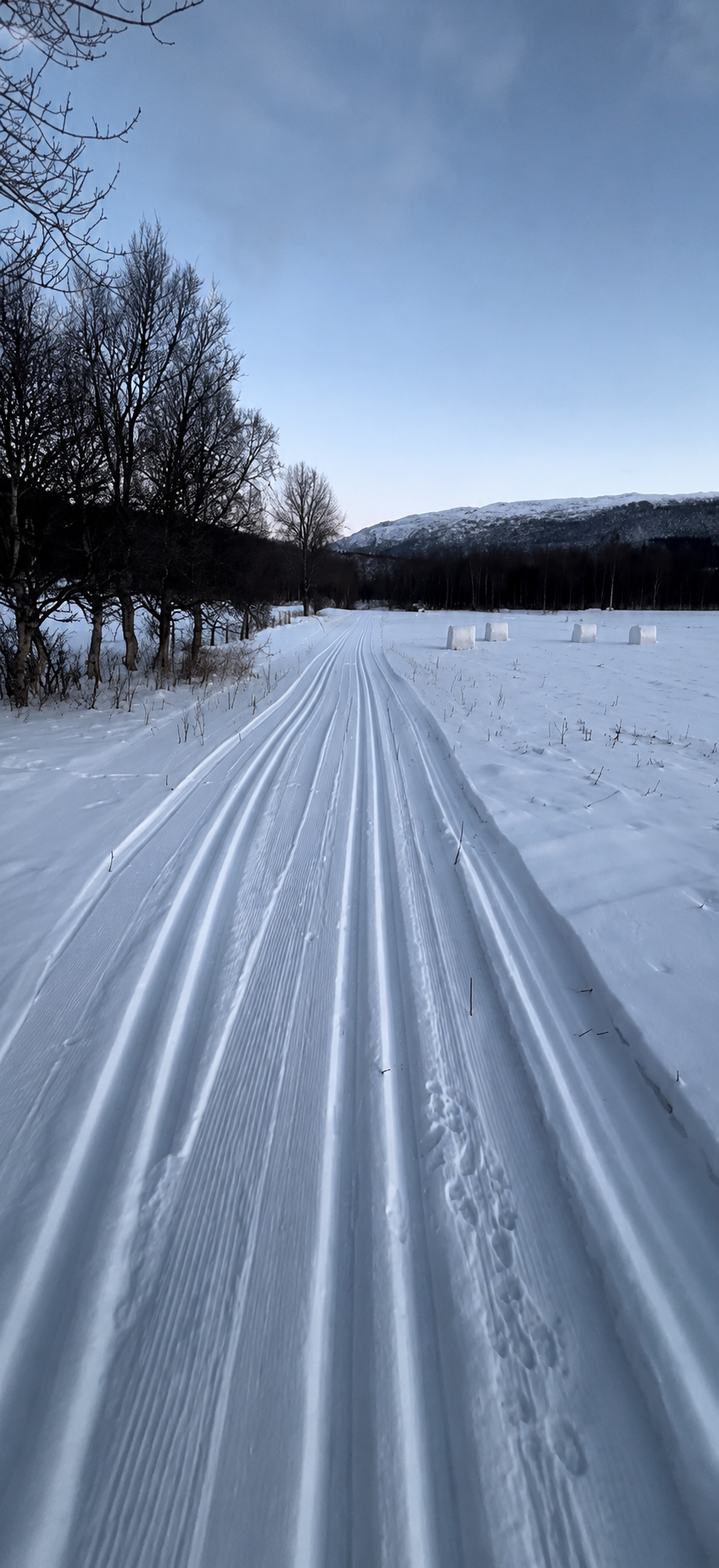 Hiihtäjä lumisessa maisemassa Lavangenissa